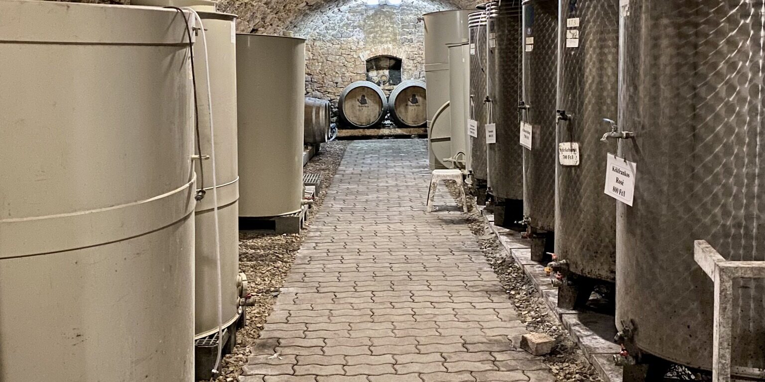 308948775_586350823233812_7468294552101131148_n