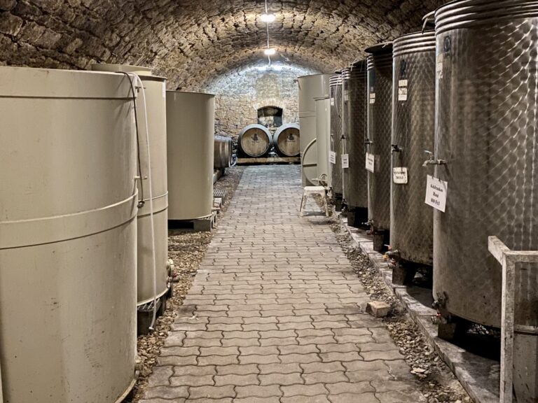 308948775_586350823233812_7468294552101131148_n